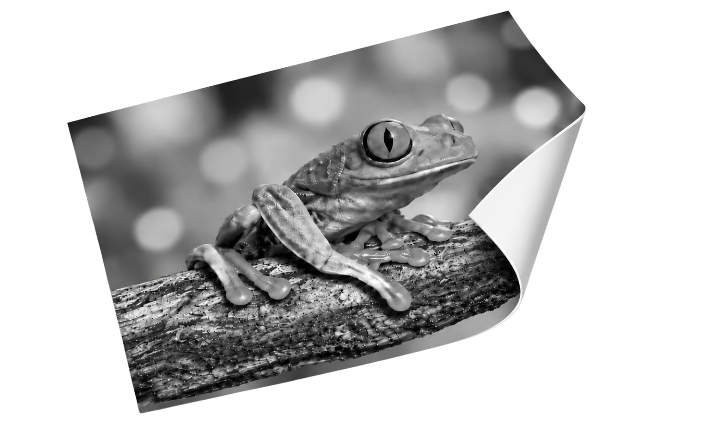 Grayscale illustration