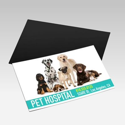 Magnet Business Cards