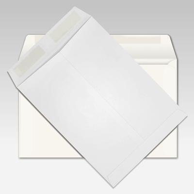 Envelopes (Booklet/Catalog)
